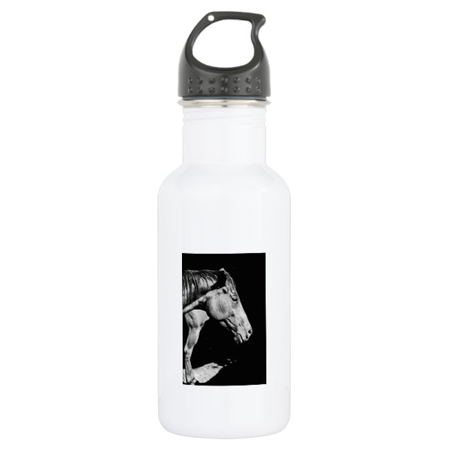 Botella De Agua pata de caballo principal (Anverso)