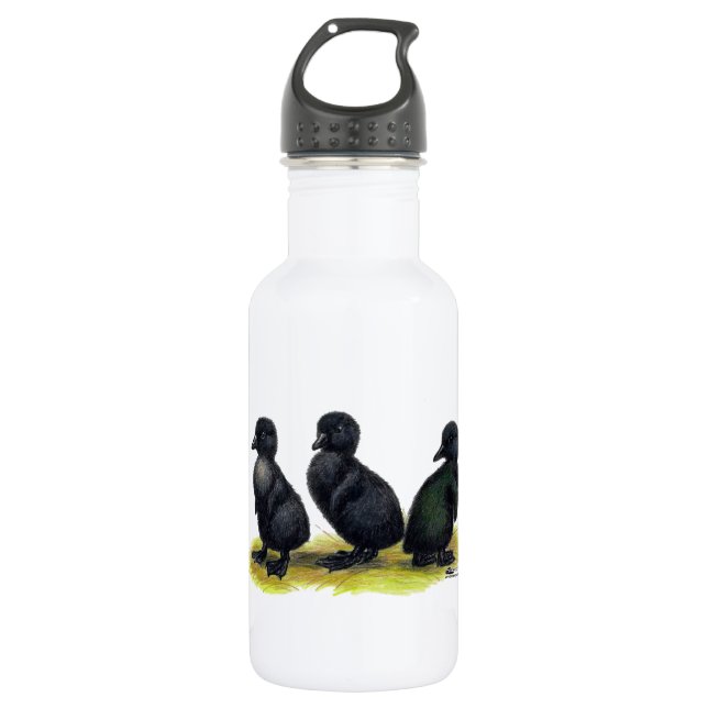 Botella De Agua Patitos de Cayuga Negra (Anverso)