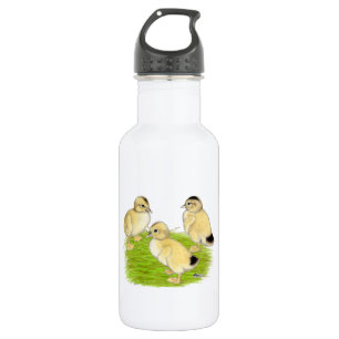 Botella De Agua Patitos Silver Appleyard