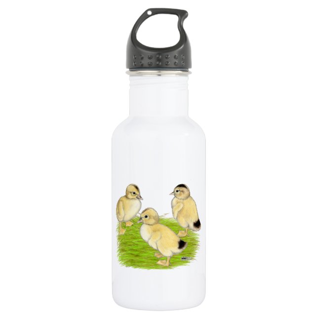 Botella De Agua Patitos Silver Appleyard (Anverso)