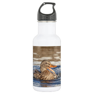 Botella De Agua Pato Mallard en Downing Park