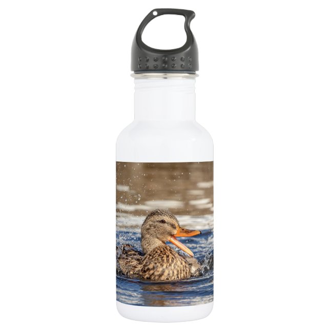 Botella De Agua Pato Mallard en Downing Park (Anverso)
