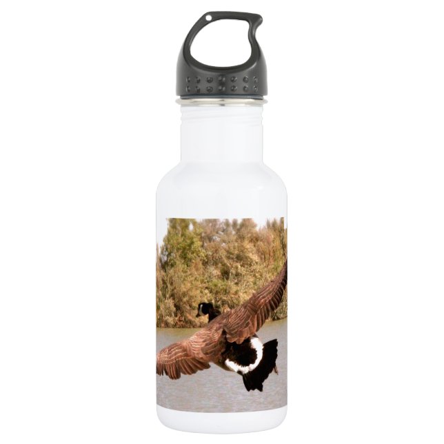 Botella De Agua pato volando sobre agua fotografía (Anverso)