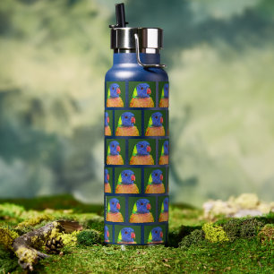 Botella De Agua Patrón lorikeet loro arcoiris