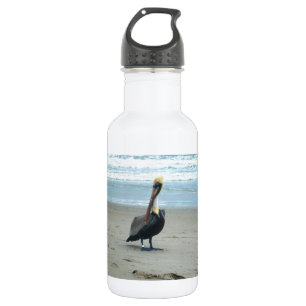 Botella De Agua Pelícano en la Florida