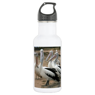 Botella De Agua Pelícanos australianos en la isla Phillip