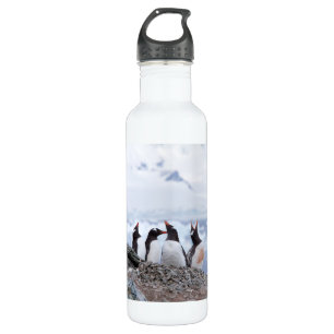 Botella De Agua Penguins in Antarctica