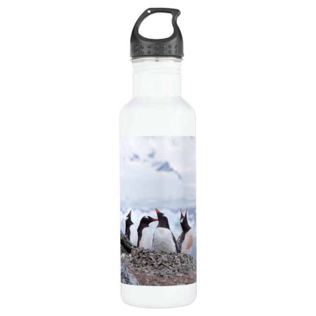 Botella De Agua Penguins in Antarctica (Anverso)