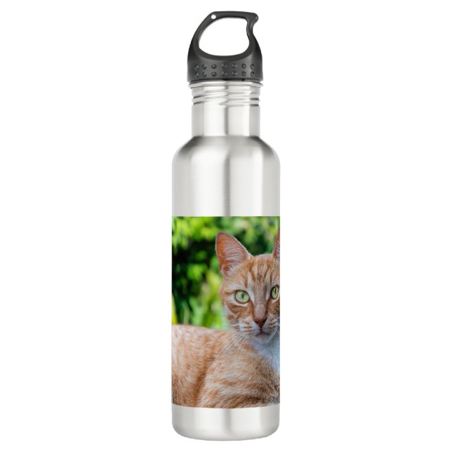 Botella De Agua Pequeño gatito dulce (Anverso)