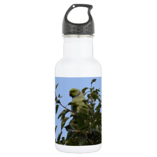 Botella De Agua Perico Verde