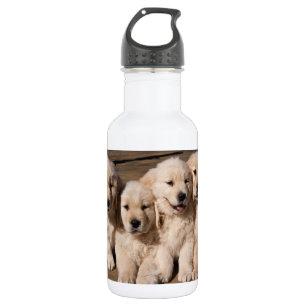 Botella De Agua Perritos dulces del golden retriever