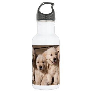 Botella De Agua Perritos dulces del golden retriever