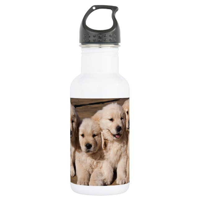 Botella De Agua Perritos dulces del golden retriever (Anverso)