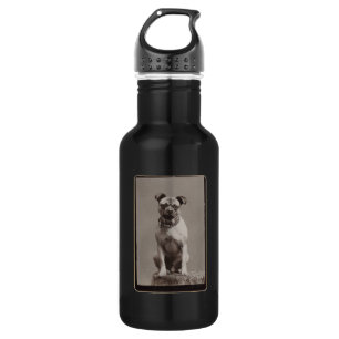Botella De Agua Perro de época