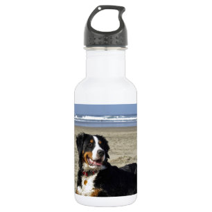 Botella De Agua Perro de montaña de Bernese