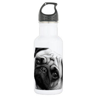 Botella De Agua Perro del barro amasado
