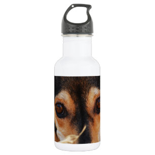 Botella De Agua Perro dulce tendido en heno
