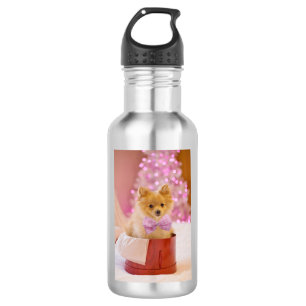 Botella De Agua Perro Navidad con foto de arco rosado