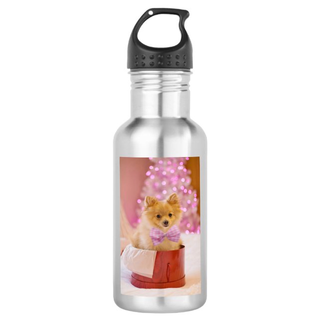 Botella De Agua Perro Navidad con foto de arco rosado (Anverso)