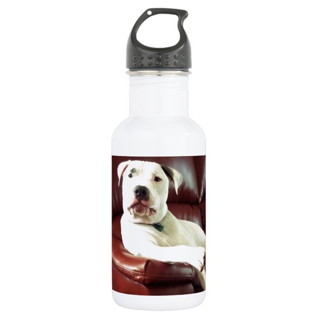 Botella De Agua perro pit bull blanco divertido en el sofá (Anverso)