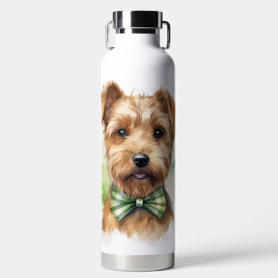 BOTELLA DE AGUA PERRO PUPPY IRLANDÉS ADORABLE Y DESGREÑADO