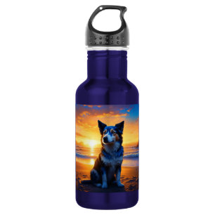 Botella De Agua Perro sentado en Ocean Beach en Sunset