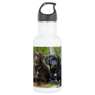 Botella De Agua Perros cachorros Black Lab Chocolate Labrador Recu