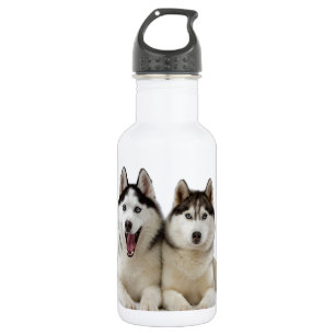 Botella De Agua Perros fornidos
