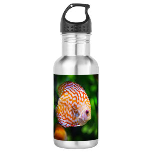 Botella De Agua Pescado discus