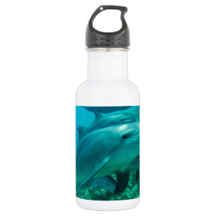 Botella De Agua pez delfín marino océano bajo agua nadar