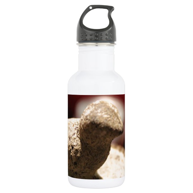 Botella De Agua Piedra de pájaro (Anverso)