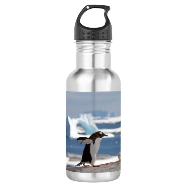 Botella De Agua Pingüino frente a un arco de hielo (Anverso)