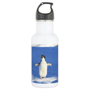Botella De Agua Pingüino gracioso en foto de hielo