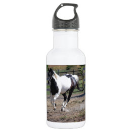Botella De Agua Pinto Paint Horse