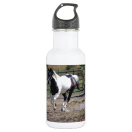 Botella De Agua Pinto Paint Horse