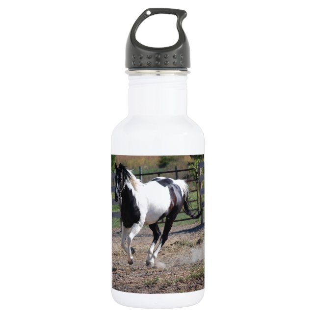 Botella De Agua Pinto Paint Horse (Anverso)