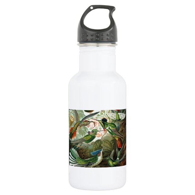 Botella De Agua pintura clásica de la fauna silvestre de comingbir (Anverso)