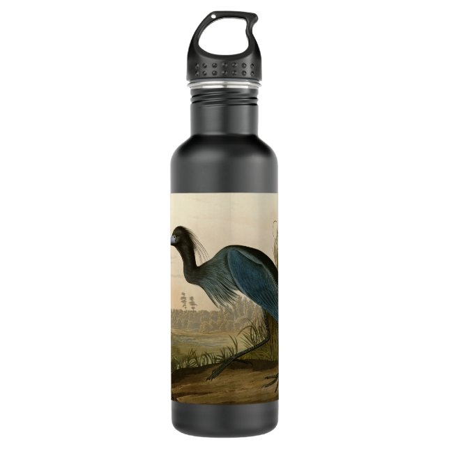 Botella De Agua Pintura de Blue Crane Heron Audubon (Anverso)