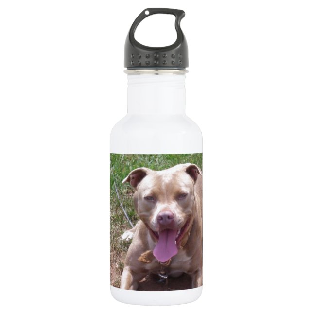 Botella De Agua Pitbull (Anverso)