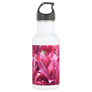 Botella De Agua Planta de la licencia del Ti de Hawaii