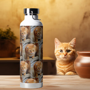 Botella De Agua Plantilla de Mascota de gato de perro Personalizad