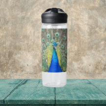 Plumaje de pluma de pavo real azul