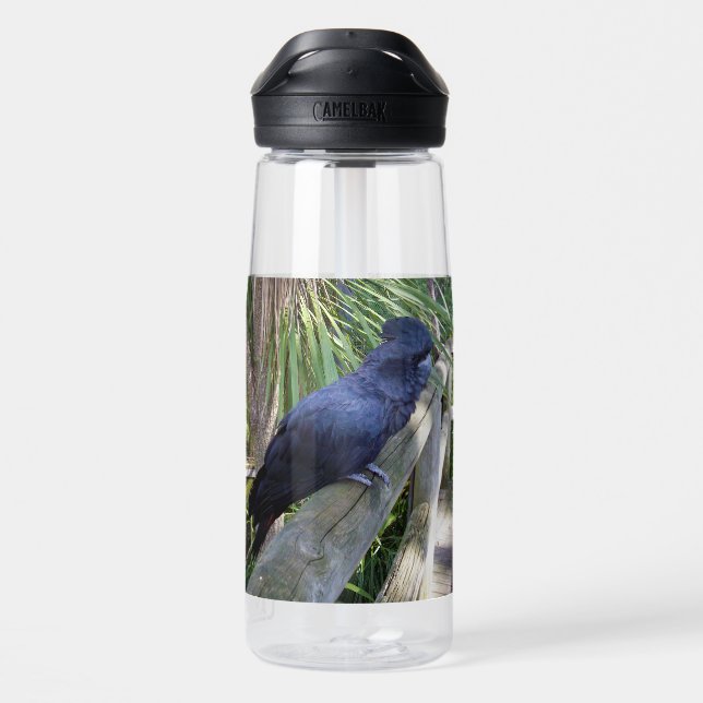 Botella De Agua Plumas Negras: Loros Negros Australianos (Atrás)