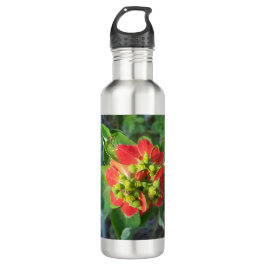 Botella De Agua Poinsettia silvestre