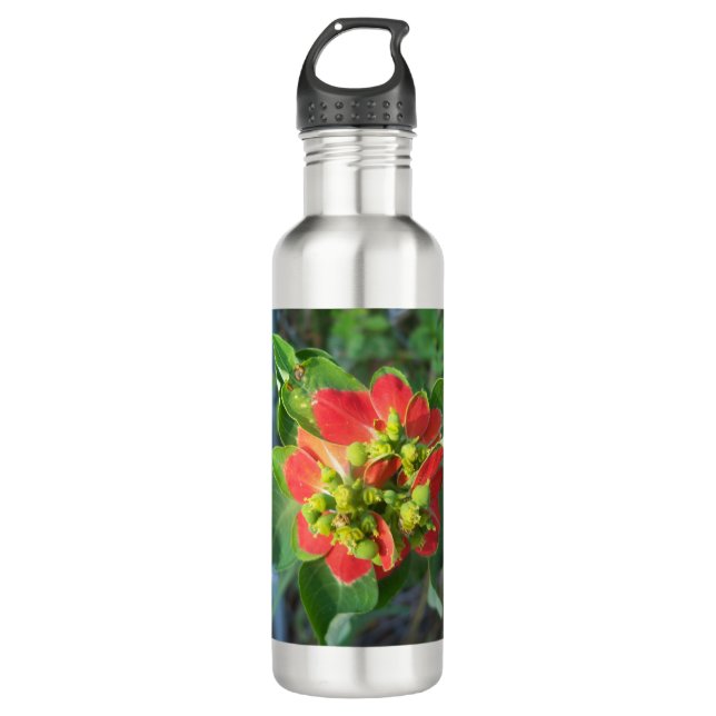 Botella De Agua Poinsettia silvestre (Anverso)