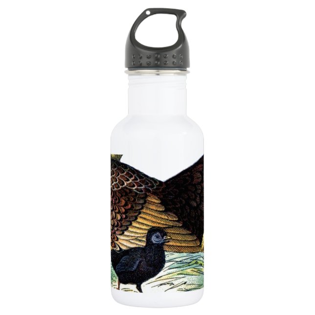 Botella De Agua Pollos Animales Antiguos (Anverso)