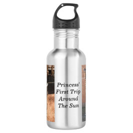 Botella de agua Princess