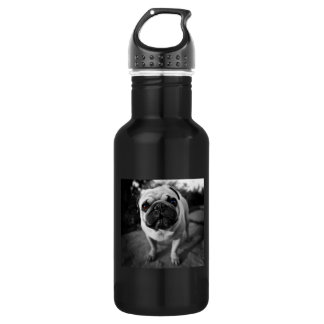 Botella De Agua Pug guapo
