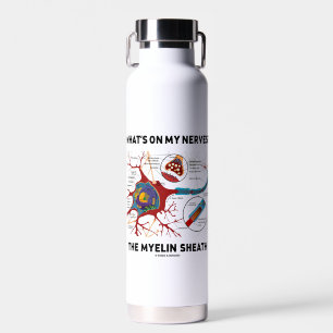 Botella De Agua ¿Qué hay en mis nervios? Myelin Sheath