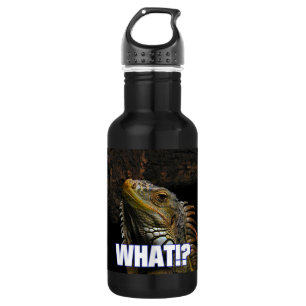 Botella De Agua ¿¡Qué!? Iguana
